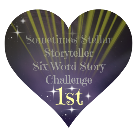 Sometimes Stellar Storyteller Six Word Story Challenge winner