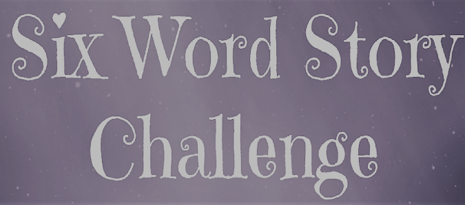 Sometimes Stellar Storyteller Six Word Story Challenge